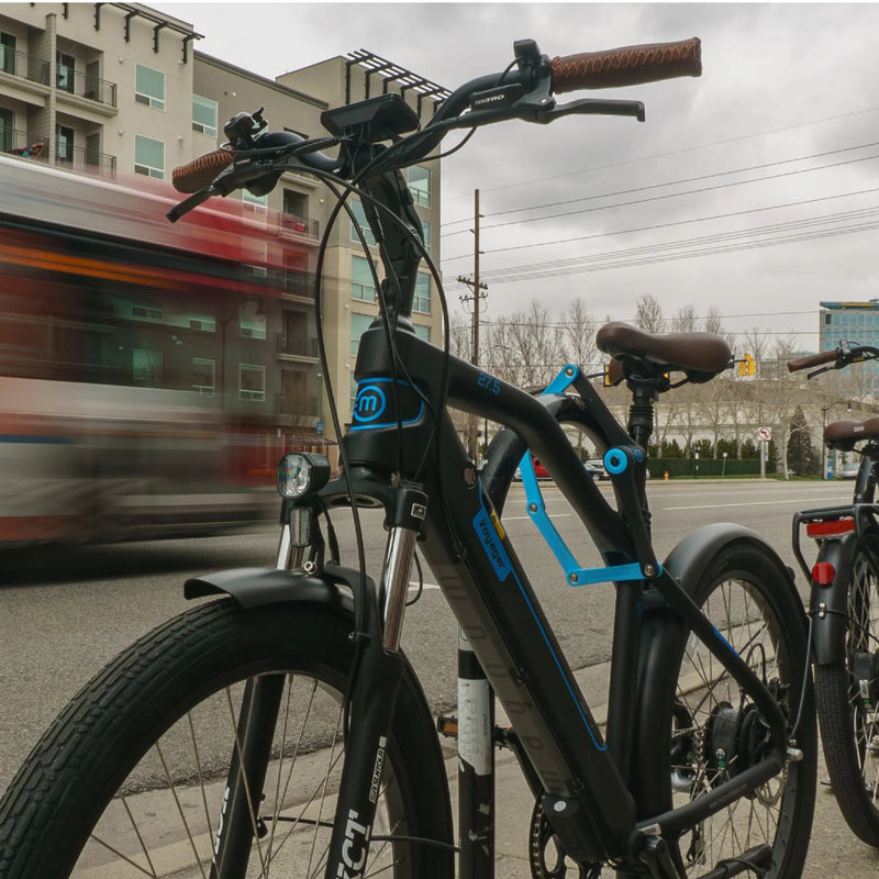 Load image into Gallery viewer, Magnum E-Bike Lock - FoldyLock